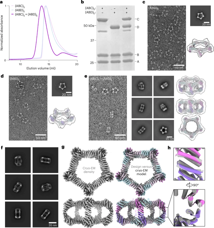 41563 2025 2295 fig2 html