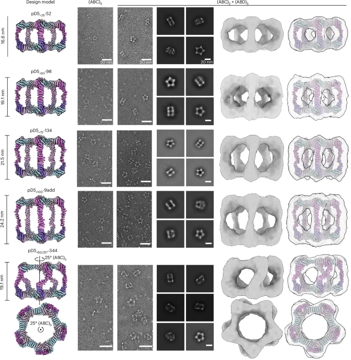 41563 2025 2295 fig4 html