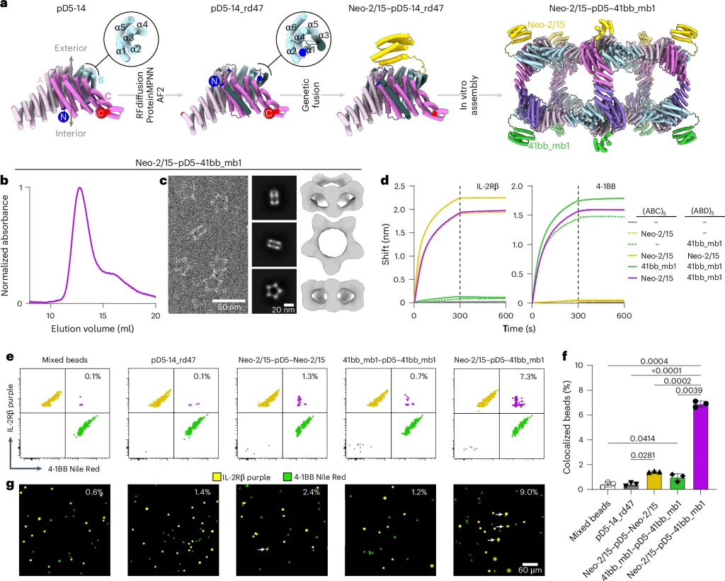 41563 2025 2295 fig5 html