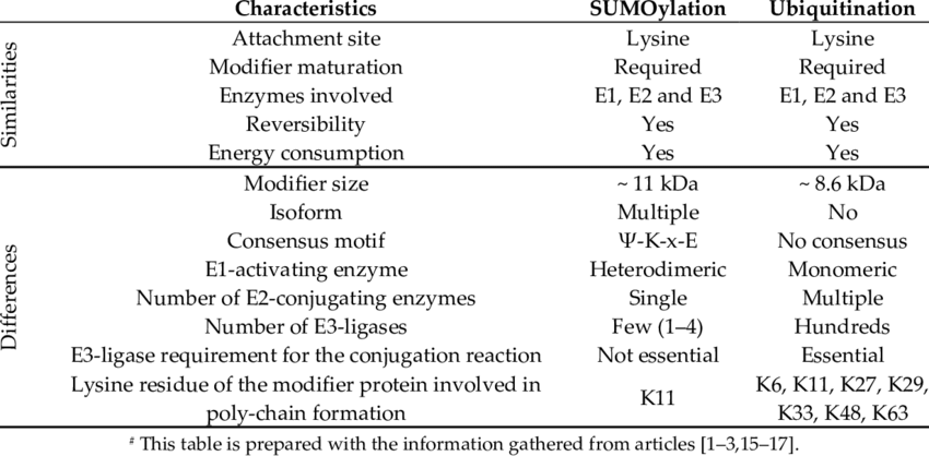 a comparison of sumoylation and ubiquitination