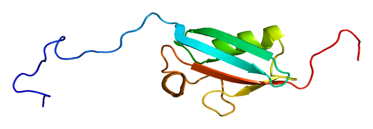 protein sumo1 pdb 1a5r