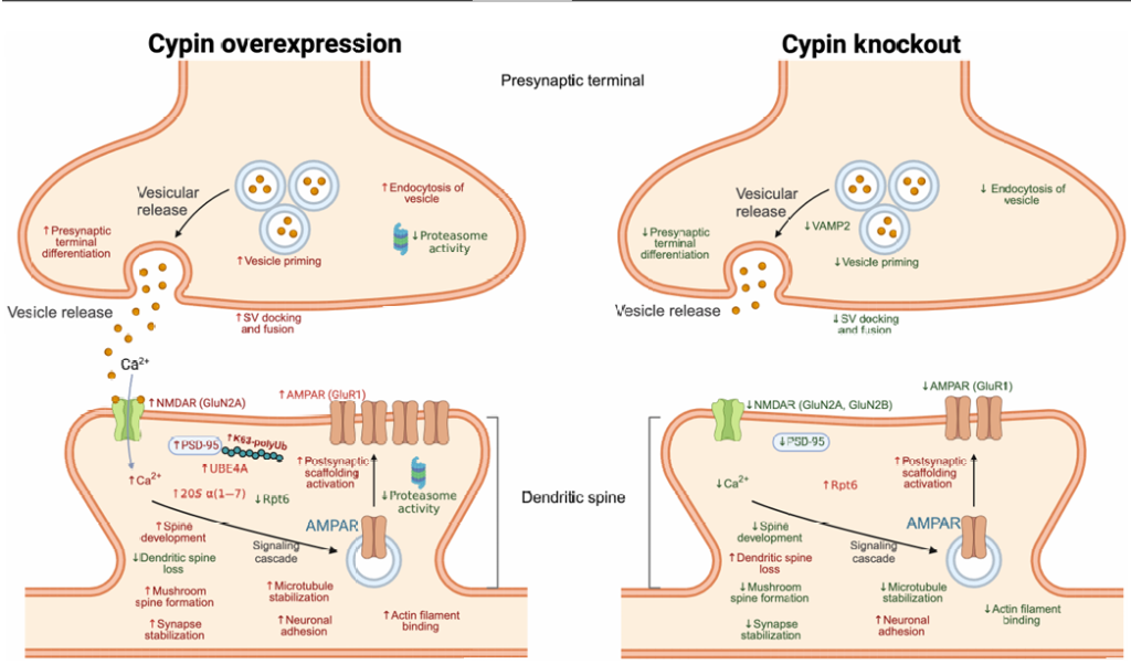 screenshot 2025 08 03 172354