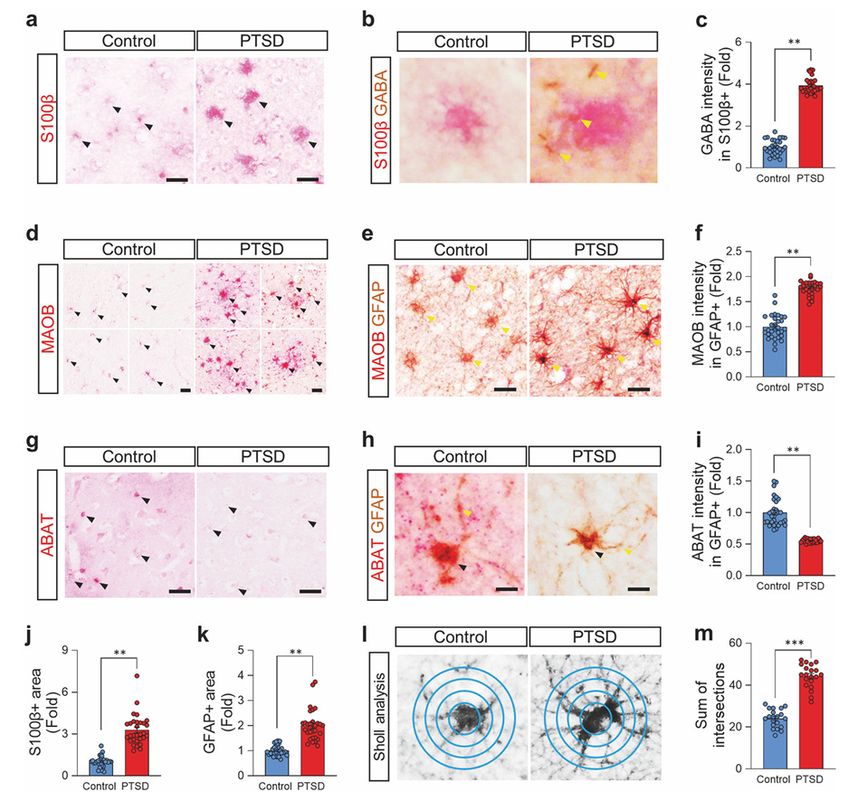 screenshot 2025 08 03 180316