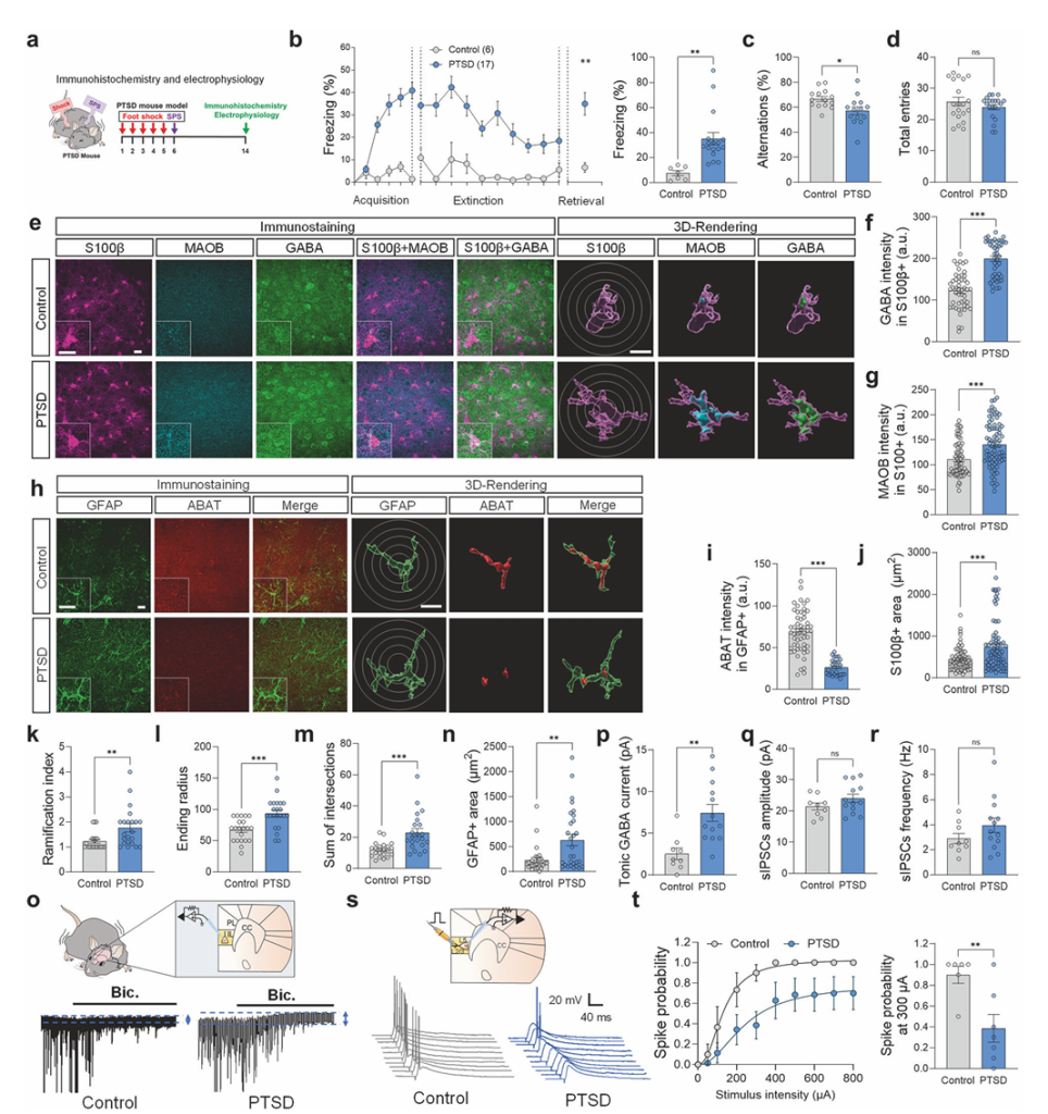 screenshot 2025 08 03 180424