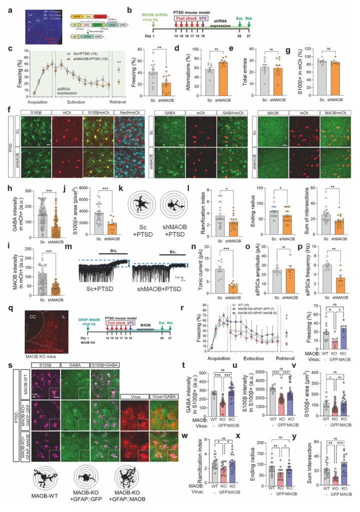 screenshot 2025 08 03 180535